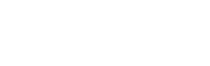 Lazzara Properties